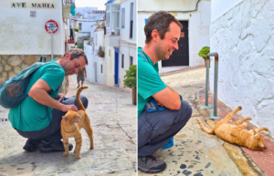 Refugio Sonrisas Tarifa Spain street cats orange boy La Cocotera stray unneutered unfixed